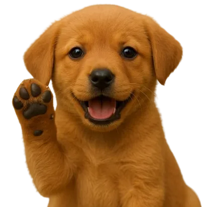 Puppy healthcare and wellness